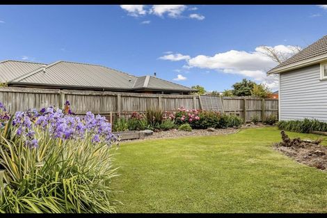 Photo of property in 49c Halswell Road, Hillmorton, Christchurch, 8025