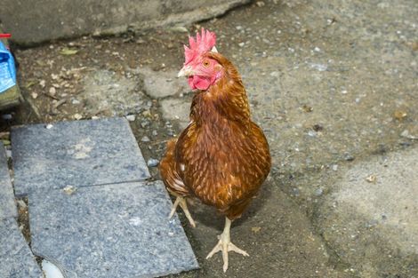 Photo of property in 3 Lord Street, Stokes Valley, Lower Hutt, 5019