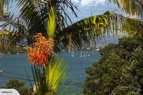 Photo of property in 5 Queen Street, Northcote Point, Auckland, 0627