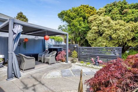 Photo of property in 11 Fitzherbert Avenue, Springvale, Whanganui, 4501