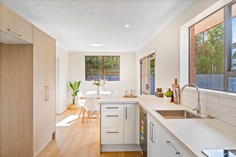 Photo of property in 9 Guise Lane, Hillmorton, Christchurch, 8025