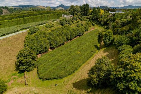 Photo of property in 827 No 1 Road, Te Ranga, Te Puke, 3182