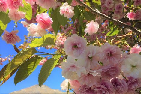 Photo of property in 16 Herries Lane, Lake Hayes, Queenstown, 9304