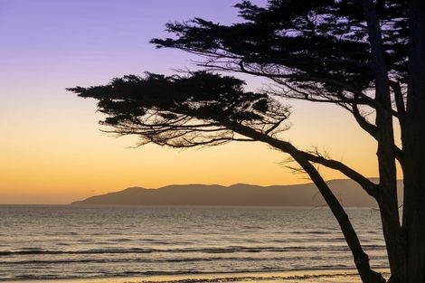 Photo of property in 32 Tainui Street, Raumati Beach, Paraparaumu, 5032