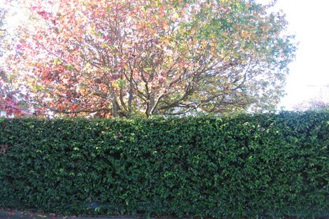 Photo of property in 7 Riddiford Street, Woburn, Lower Hutt, 5011