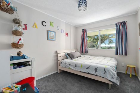 Photo of property in 437 Mangateparu Loop Road, Mangateparu, Morrinsville, 3375