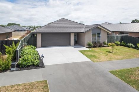 Photo of property in 17 Te Whariki Street, Marshland, Christchurch, 8083