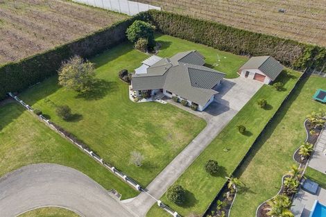 Photo of property in 57b Fairview Place, Te Puke, 3119