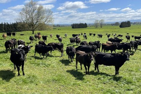 Photo of property in 16 Mcrae Road, Otewa, Otorohanga, 3972