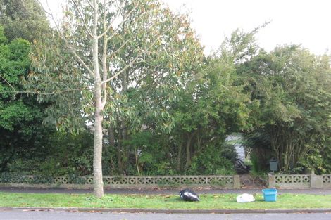 Photo of property in 121 Holland Road, Fairfield, Hamilton, 3214