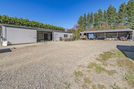 Photo of property in 581 Pesters Road, West Eyreton, 7475