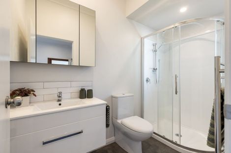 Photo of property in 264 Park Road, Hokowhitu, Palmerston North, 4410