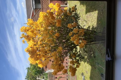 Photo of property in 71b Queen Street, Pukekohe, 2120