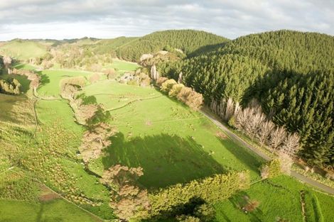 Photo of property in 455 Longacre Road, Okoia, Whanganui, 4582