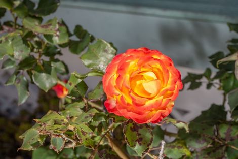 Photo of property in 12 Springfield Avenue, Ngarimu Bay, Thames, 3575