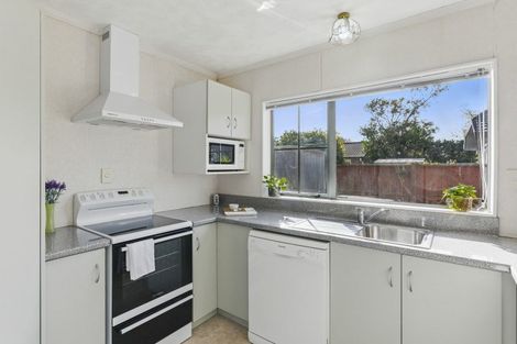 Photo of property in 3 Surrey Lane, Levin, 5510
