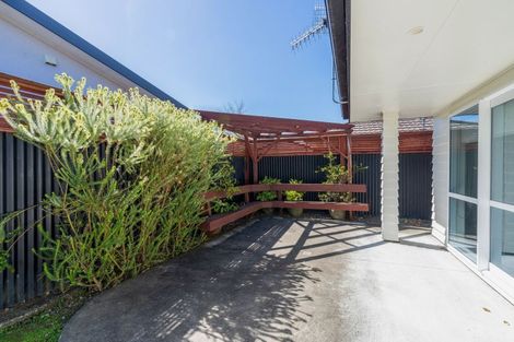 Photo of property in 12 Sussex Street, Levin, 5510