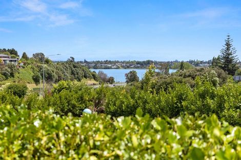 Photo of property in 31 Wickham Place, Hairini, Tauranga, 3112
