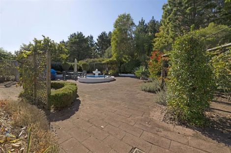 Photo of property in 195 Taiapa Road, Muriwai, Waimauku, 0881