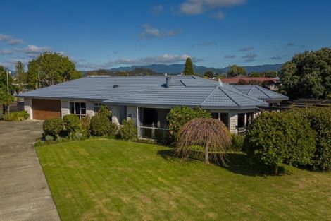 Photo of property in 19 Springbok Avenue, Whitianga, 3510