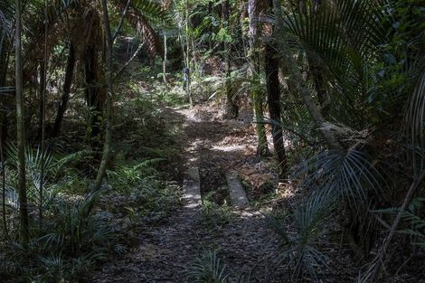 Photo of property in 58 Airstrip Road, Kaeo, 0479