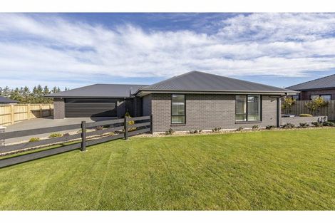 Photo of property in 26 Foster Place, Amberley, 7410