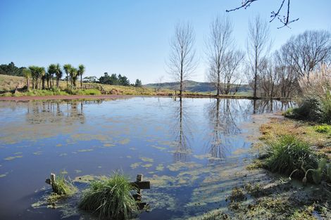 Photo of property in 1216 Oneriri Road, Kaiwaka, 0573