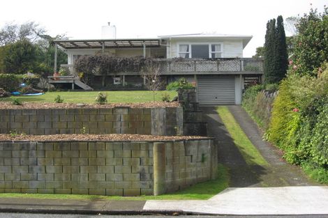 Photo of property in 48 Essex Street, Vogeltown, New Plymouth, 4310