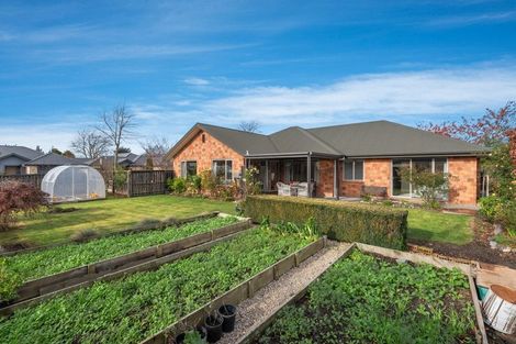 Photo of property in 3 Cedar Place, Rangiora, 7400
