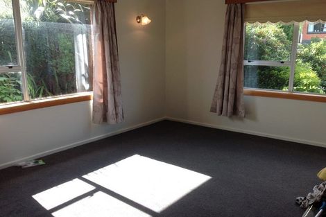 Photo of property in 21 Glenelg Street, Bradford, Dunedin, 9011
