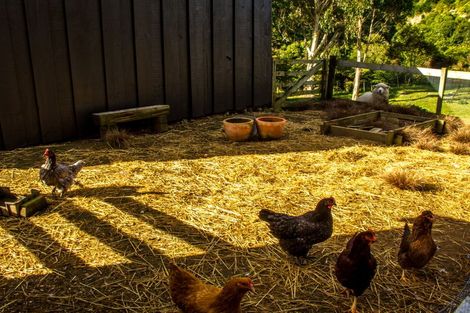 Photo of property in 367 Forest Hill Road, Aokautere, Palmerston North, 4471