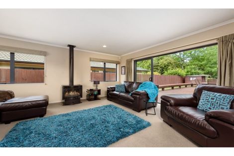 Photo of property in 117 Hollister Lane, Ohauiti, Tauranga, 3112