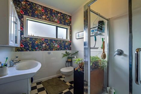 Photo of property in 111 Bowman Road, Woodville, 4999