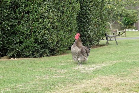 Photo of property in 175 Waiomou Road, Tapapa, Tirau, 3485