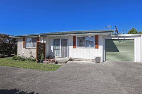 Photo of property in 822 Southampton Street West, Saint Leonards, Hastings, 4120