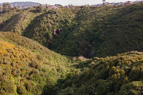 Photo of property in 17 Belize Grove, Grenada Village, Wellington, 6037