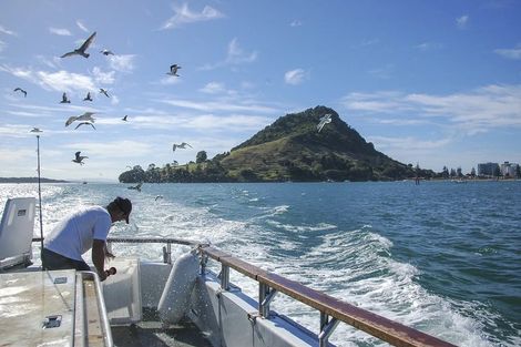 Photo of property in Mooring Apartments, 304/277 Maunganui Road, Mount Maunganui, 3116