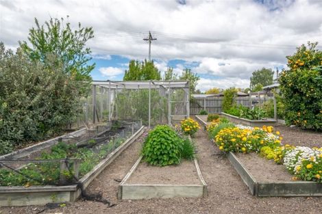 Photo of property in 42 Vickerman Street, Grovetown, Blenheim, 7202