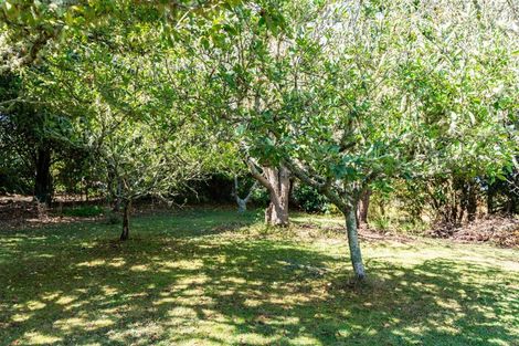 Photo of property in 368 Pahi Road, Pahi, Paparoa, 0571