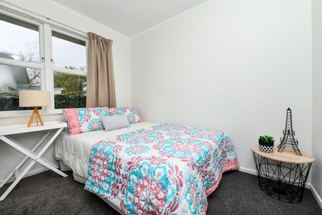 Photo of property in 18 Patrick Place, Fitzroy, Hamilton, 3206