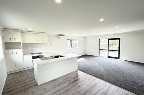 Photo of property in 59a Tay Street, Woodville, 4920