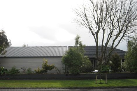 Photo of property in 19 Bailey Avenue, Claudelands, Hamilton, 3214