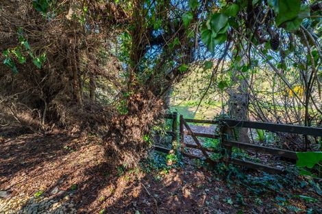 Photo of property in 49 Mckenzie Street, Geraldine, 7930