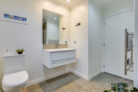 Photo of property in 21a Darley Street, Maeroa, Hamilton, 3200