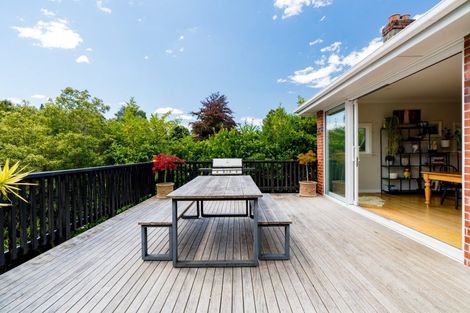 Photo of property in 43 Melrose Street, Roslyn, Dunedin, 9010