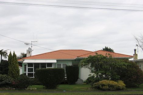 Photo of property in 29 Carlisle Street, Levin, 5510