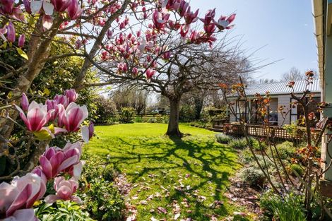 Photo of property in 136 Newbury Line, Newbury, Palmerston North, 4478