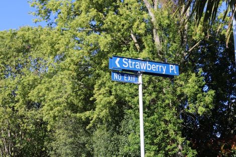 Photo of property in 24 Strawberry Place, Geraldine, 7930