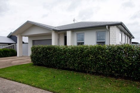 Photo of property in 64 Penetaka Heights, Pyes Pa, Tauranga, 3112