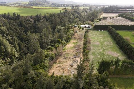 Photo of property in 736b No 2 Road, Te Ranga, Te Puke, 3182